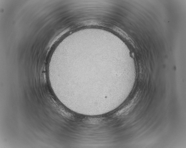 X0000077280782200611171601