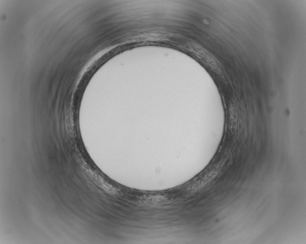 X0000077280784200611171601