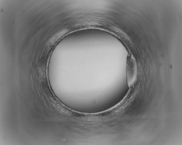 X0000077280785200611171601