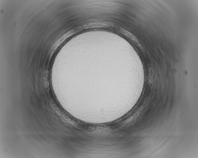 X0000077280786200611171601