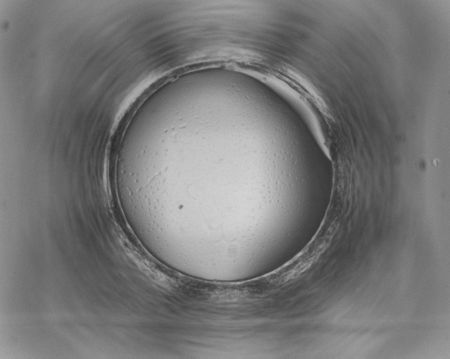 X0000077280788200611171601