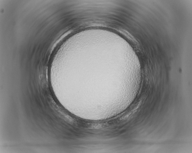 X0000077280790200611171601