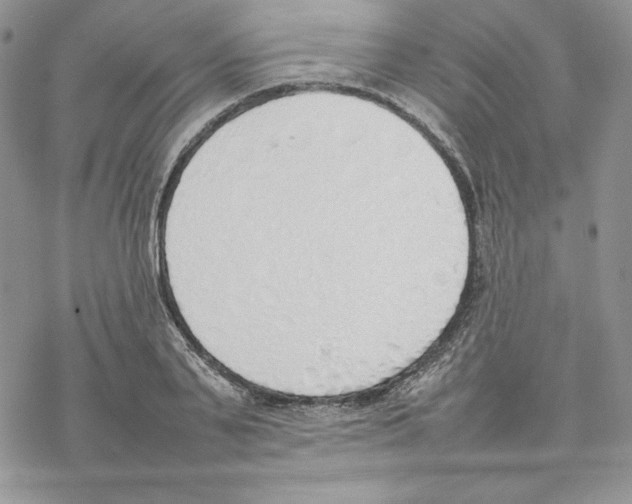 X0000077280791200611171601