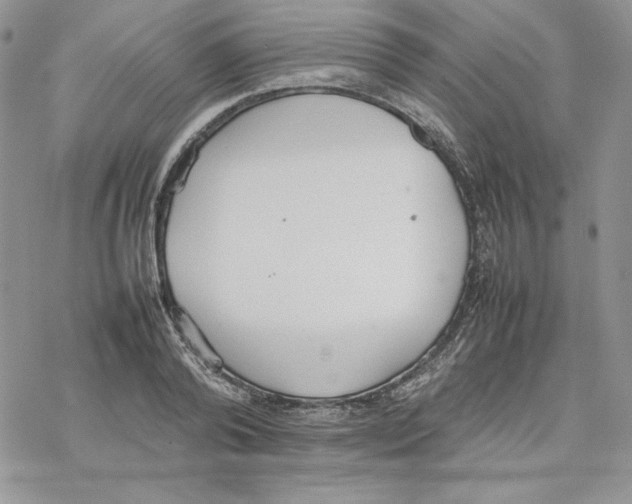 X0000077280792200611171601