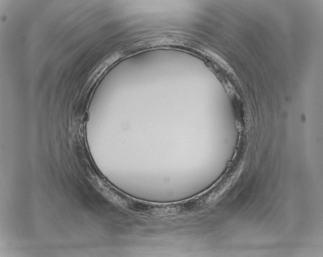 X0000077280793200611171601