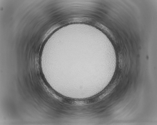 X0000077280794200611171601