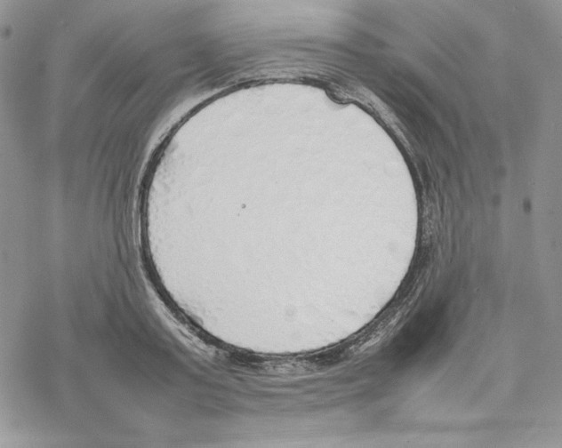 X0000077280795200611171601