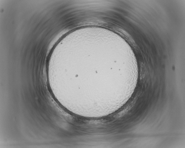 X0000077280796200611171601