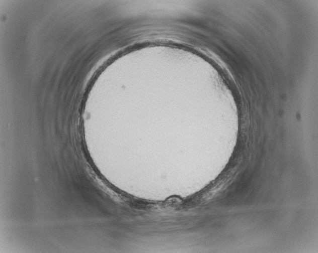 X0000077280799200611171601