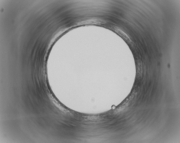 X0000077280800200611171601