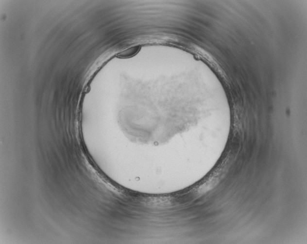 X0000077280802200611171601