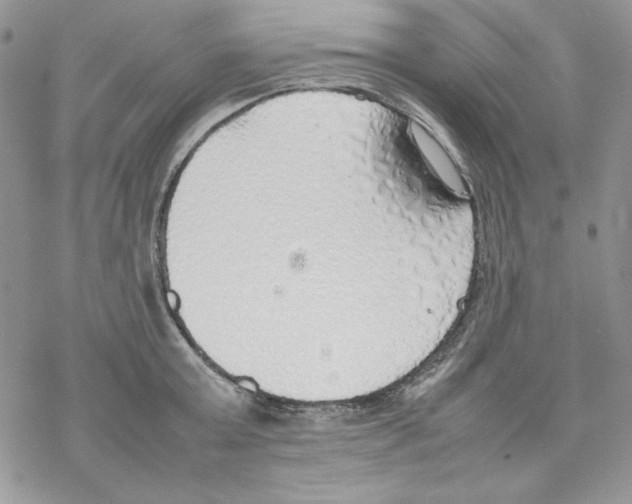 X0000077280803200611171601