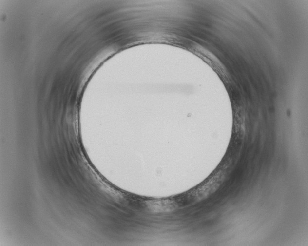 X0000077280804200611171601