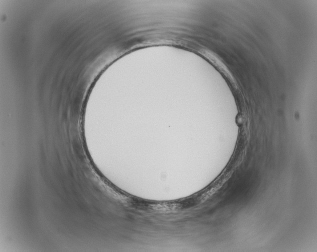 X0000077280805200611171601