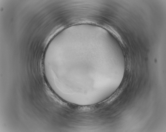 X0000077280806200611171601