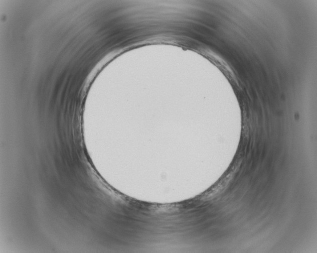 X0000077280808200611171600