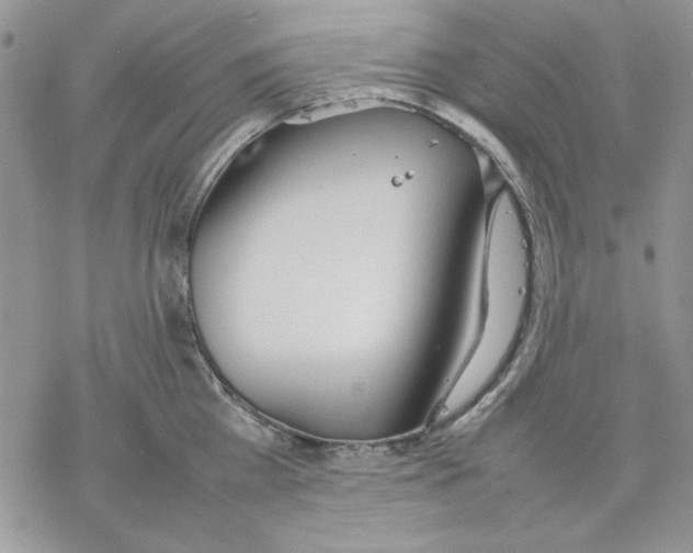 X0000077280809200611171600