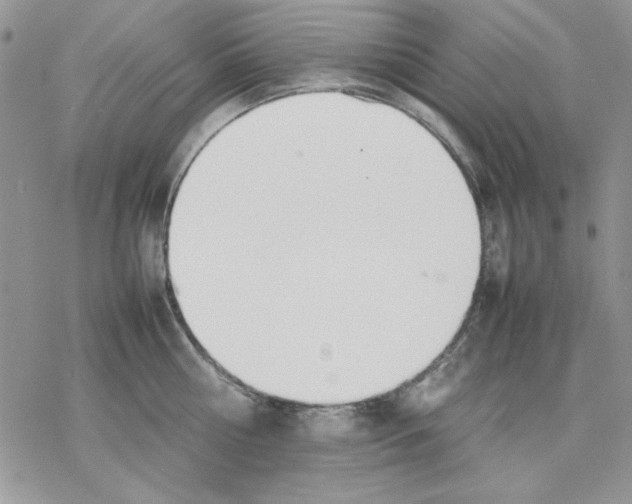 X0000077280810200611171600