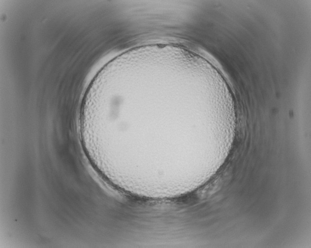 X0000077280811200611171600