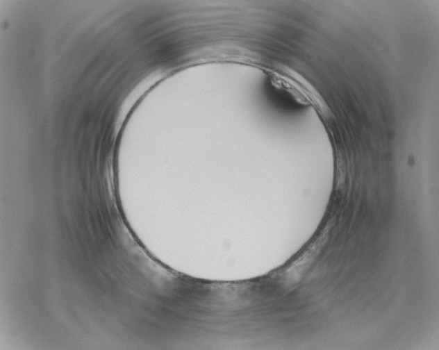 X0000077280812200611171600