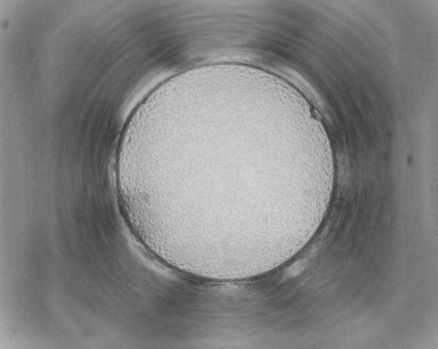 X0000077280814200611171600