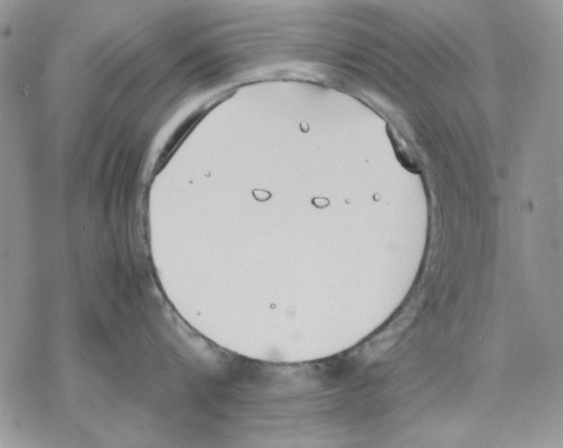 X0000077280816200611171600