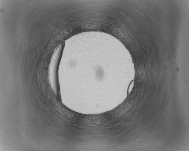 X0000077280817200611171600