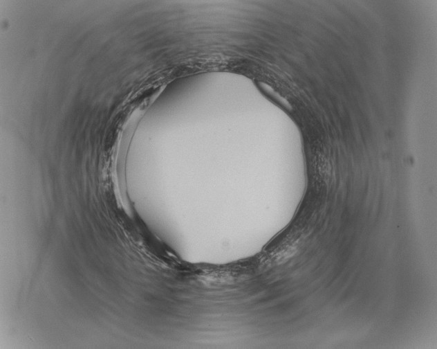 X0000077280818200611171600