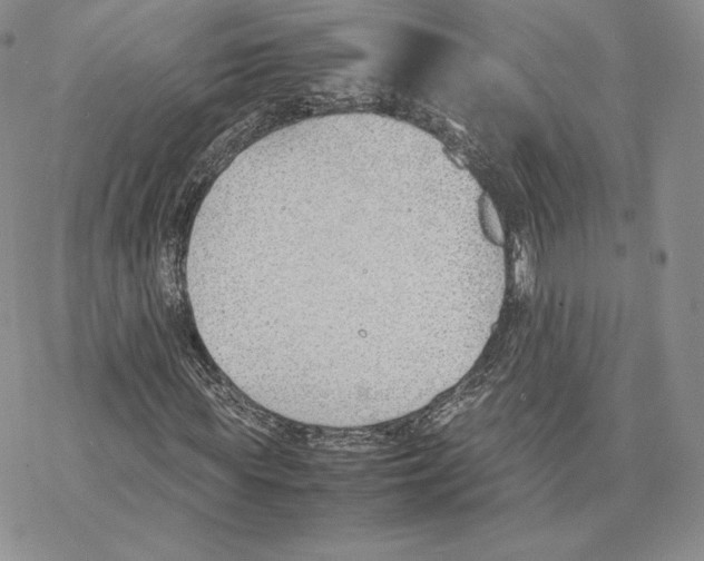 X0000077280819200611171600