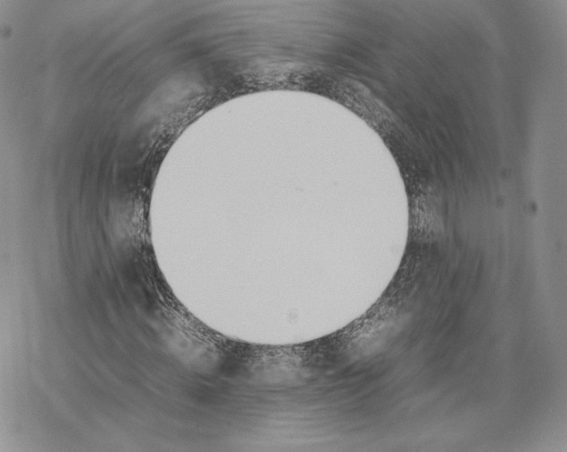 X0000077280820200611171600