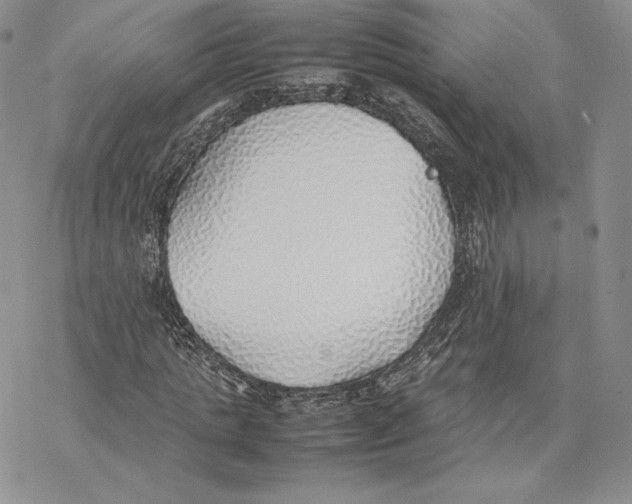 X0000077280821200611171600