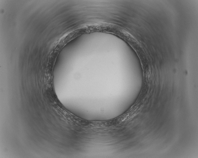 X0000077280822200611171600