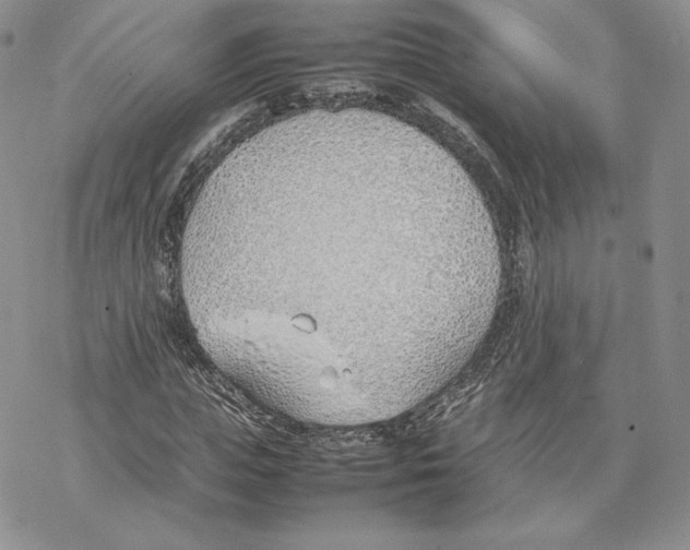 X0000077280823200611171600