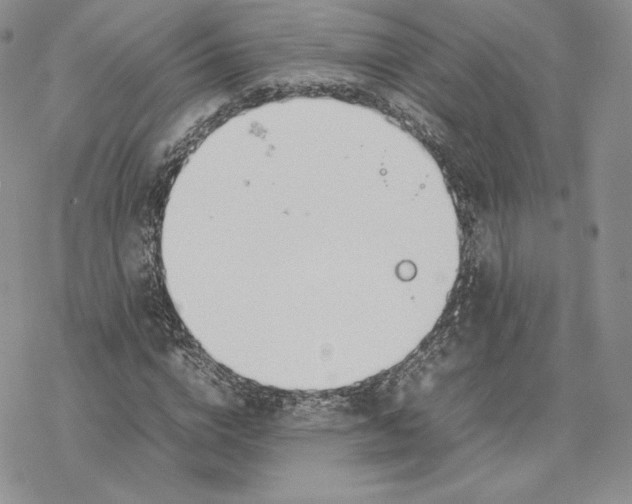 X0000077280824200611171600