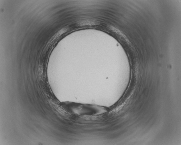 X0000077280825200611171600