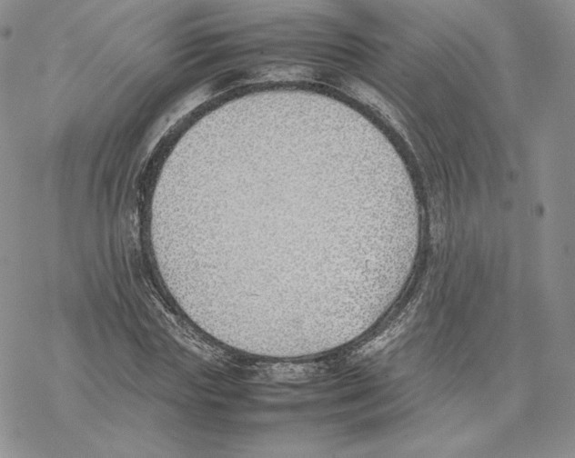 X0000077280827200611171600