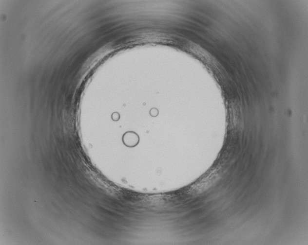 X0000077280828200611171600