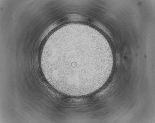 X0000077280829200611171600