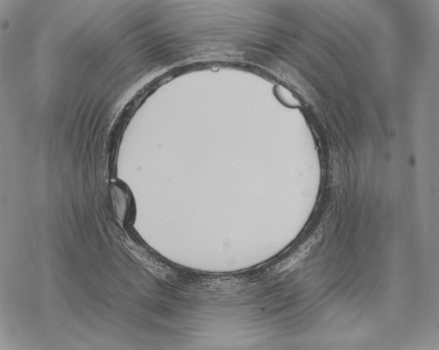 X0000077280830200611171600