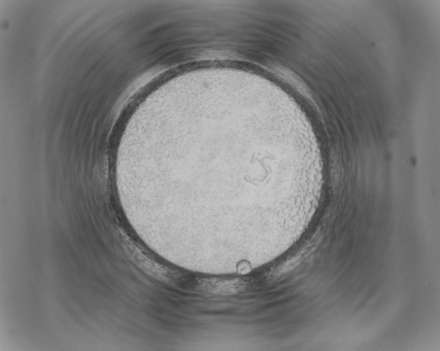 X0000077280831200611171600