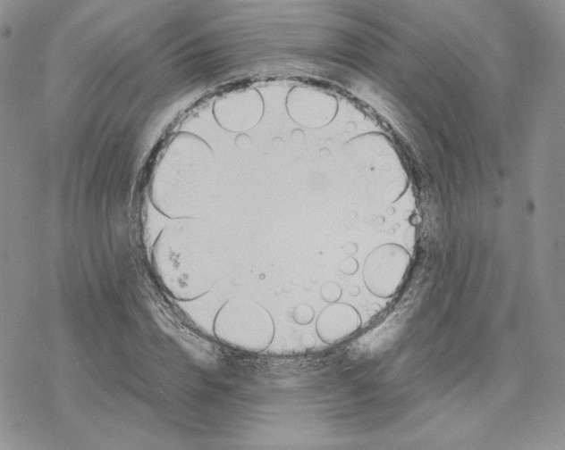 X0000077280832200611171600