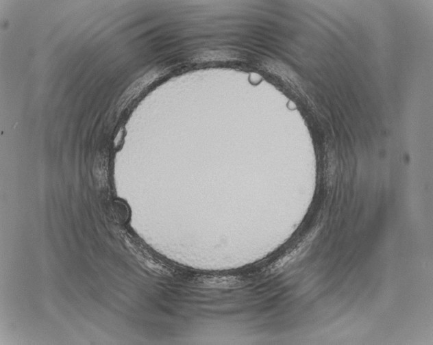 X0000077280833200611171600