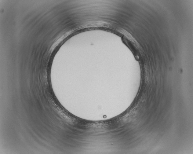 X0000077280834200611171600