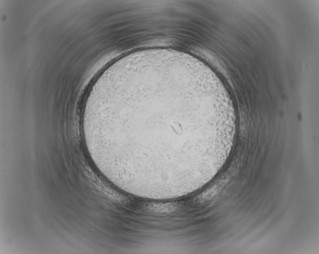 X0000077280835200611171600