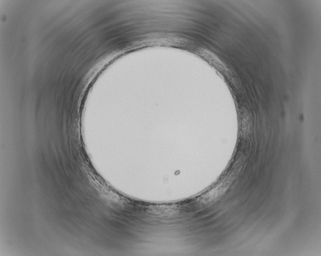 X0000077280836200611171600