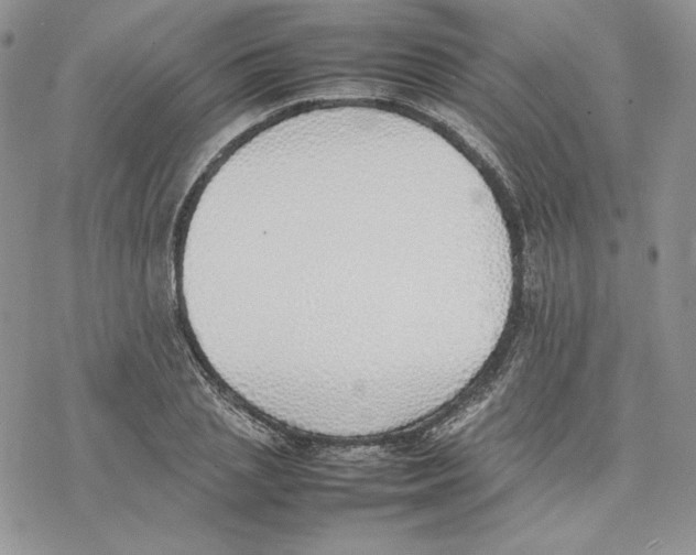 X0000077280837200611171600