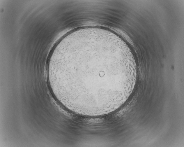 X0000077280839200611171600