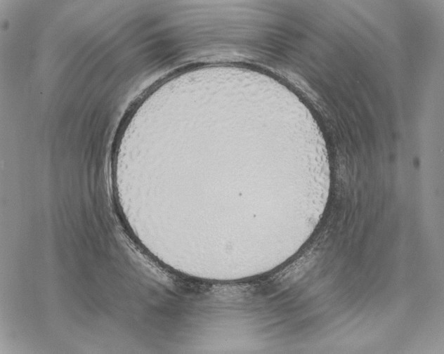 X0000077280840200611171600