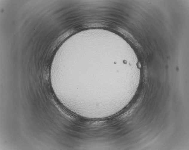 X0000077280841200611171600