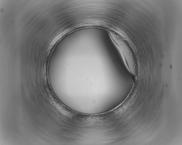 X0000077280842200611171600